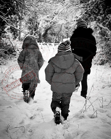 A Walk in the Snow