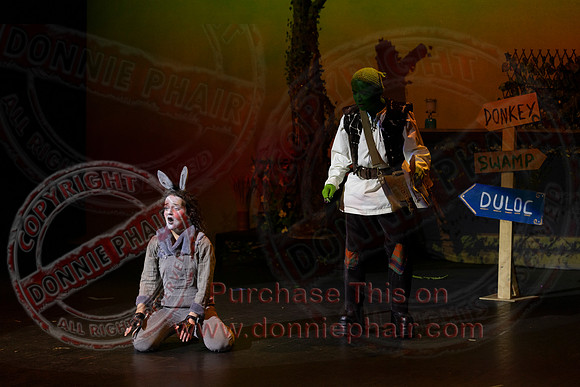 Shrek by FMT - Donnie Phair-117