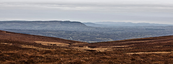 Abandoned Ponies left on Doon Mountain in County Fermanagh.
