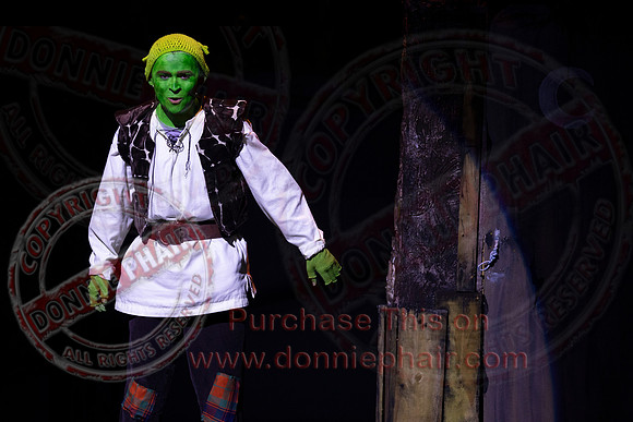 Shrek by FMT - Donnie Phair-24