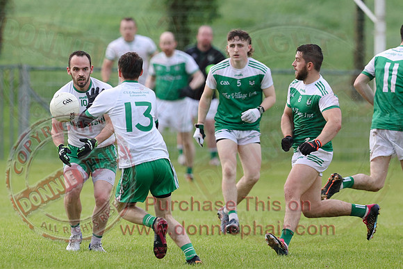 Roslea (2-06) V Ederney (1-16) in Senior GAA Football League Division One-5