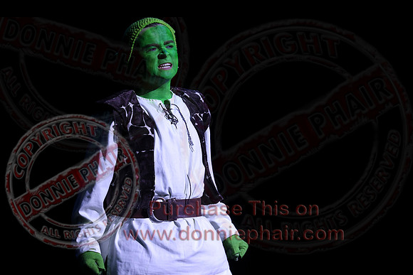 Shrek by FMT - Donnie Phair-316