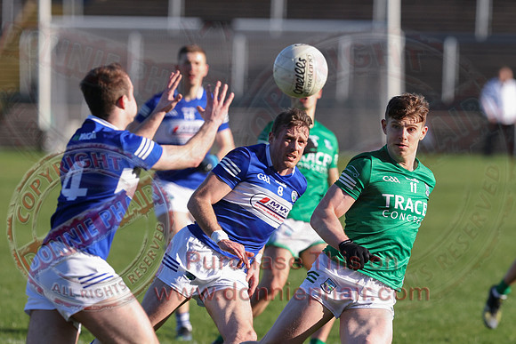 Fermanagh (3-15) V Laois (3-09) in National GAA Football League Division Three-10