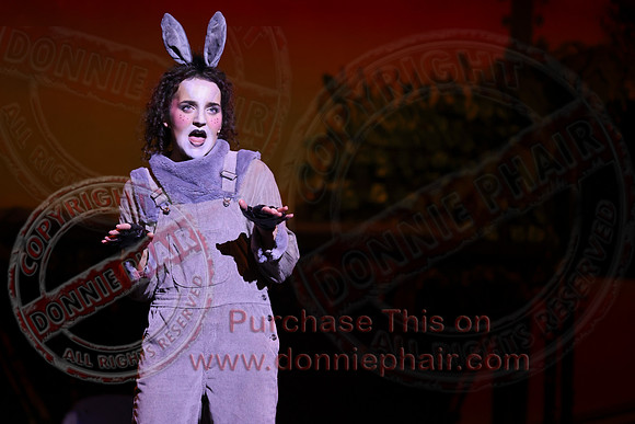 Shrek by FMT - Donnie Phair-456