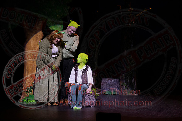 Shrek by FMT - Donnie Phair-18