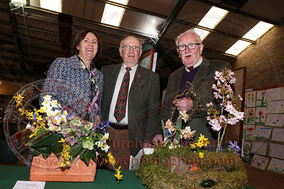 The Annual Daffodil and Spring Flower Show-2