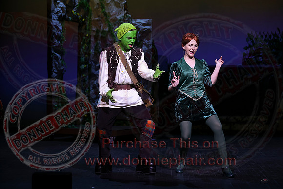 Shrek by FMT - Donnie Phair-400