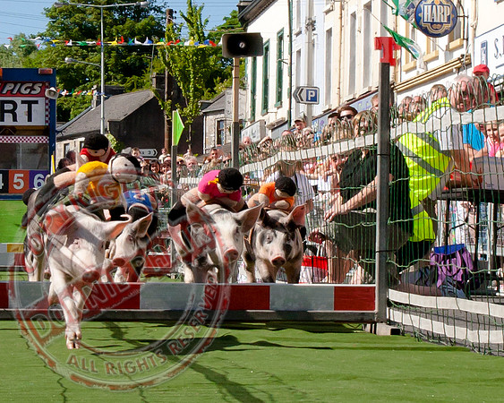 Discover Lisnaskea 2010