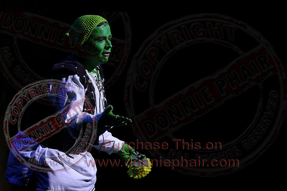 Shrek by FMT - Donnie Phair-507