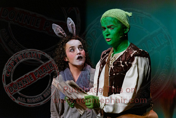 Shrek by FMT - Donnie Phair-90