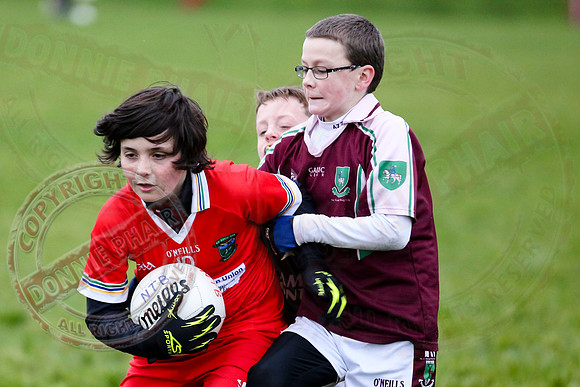 Dundas Shield GAA Tournament for U12 in Lisnaskea.