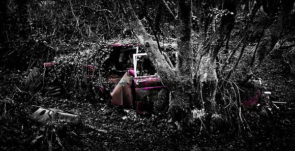 Car in a Forest