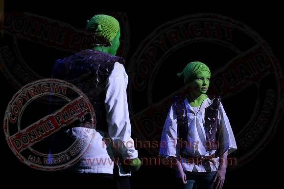 Shrek by FMT - Donnie Phair-319