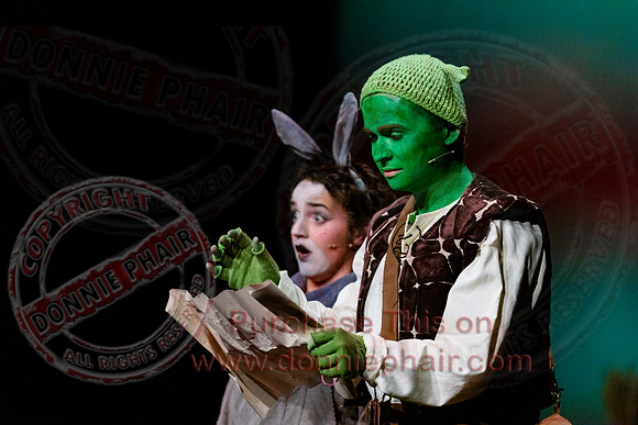 Shrek by FMT - Donnie Phair-91