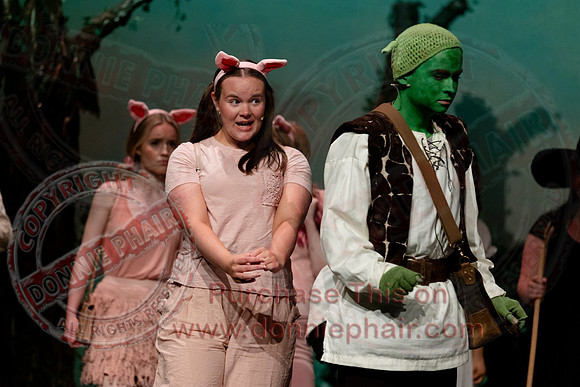 Shrek by FMT - Donnie Phair-70