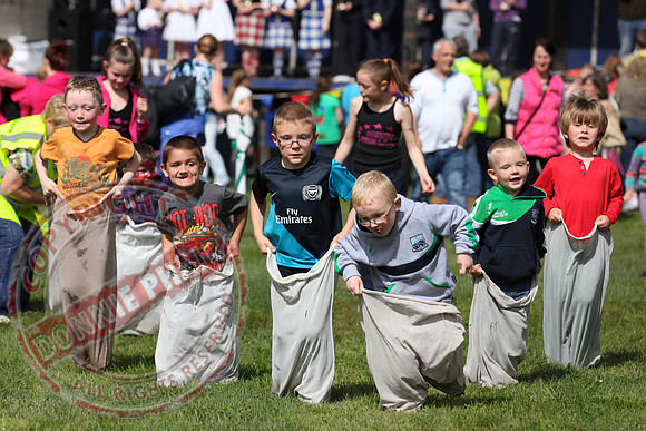 Maguiresbridge Festival.