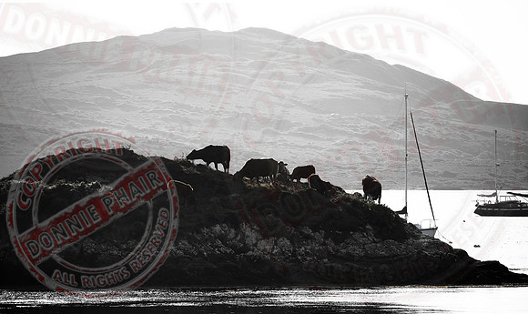 Views in County Galway