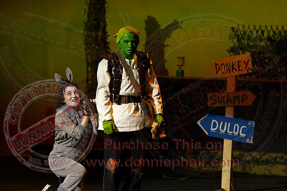 Shrek by FMT - Donnie Phair-116