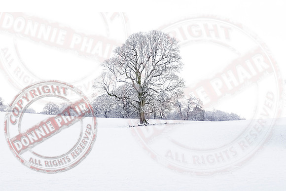 Colebrooke Estate in Winter
