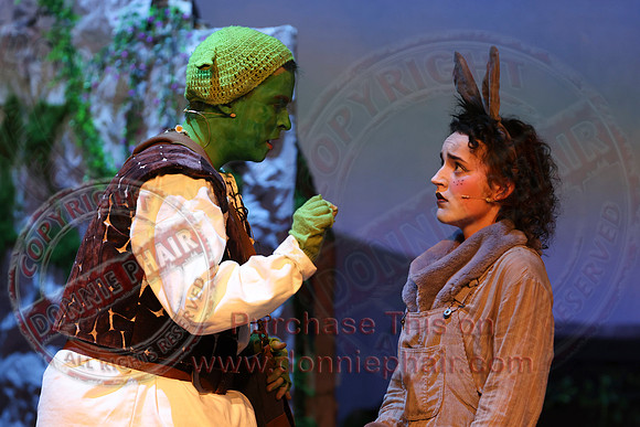 Shrek by FMT - Donnie Phair-520