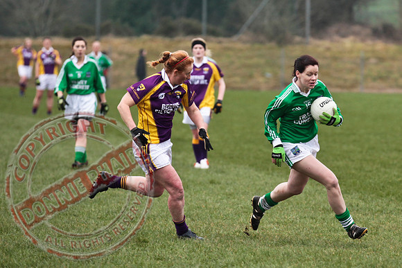 Fermanagh Senior Ladies GAA V Wexford in Teemore