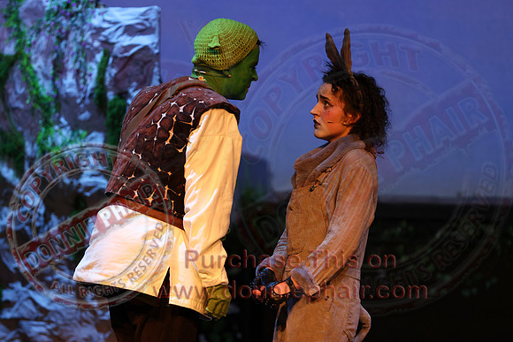 Shrek by FMT - Donnie Phair-521