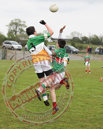 Derrylin V Lisnaskea in Minor GAA Football Final.