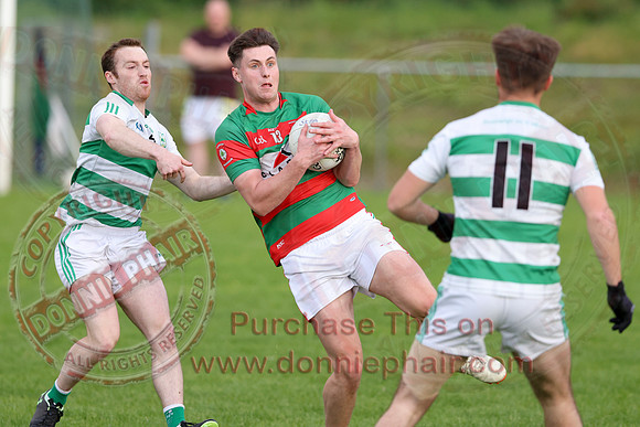 Teemore (2-10)V Lisnaskea (1-10) in Senior GAA Football League Division Two-13