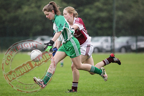 Ruth McGrath Ladies GAA Football Final Between Tempo and Ederney in Irvinestown.