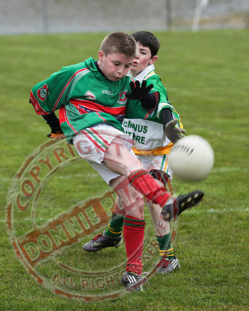 Derrylin V Lisnaskea in Minor GAA Football Final.