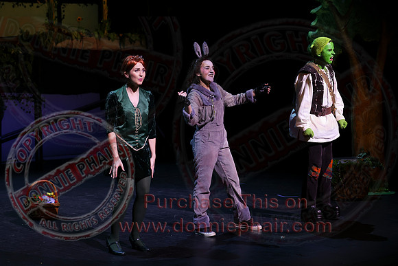 Shrek by FMT - Donnie Phair-390