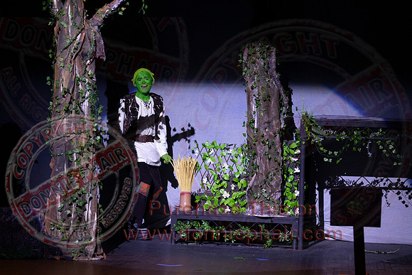 Shrek by FMT - Donnie Phair-32