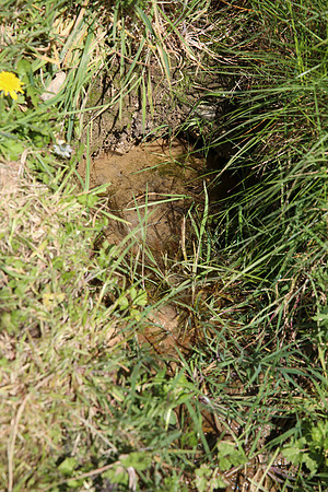 Water-logged garden. Image taken on 17-04-14.