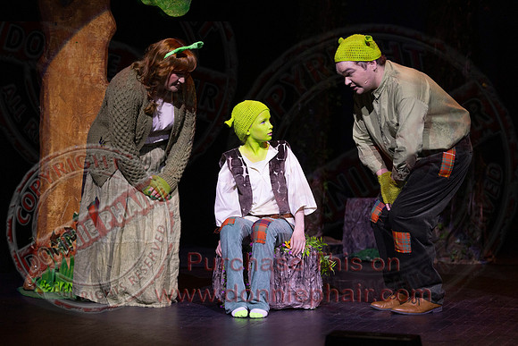 Shrek by FMT - Donnie Phair-19