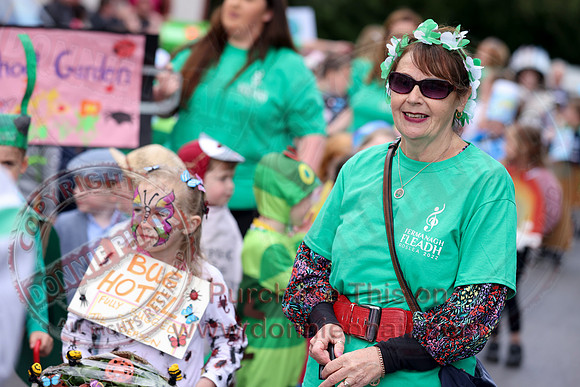 Fermanagh Fleadh Cultural Community Parade in Roslea-8