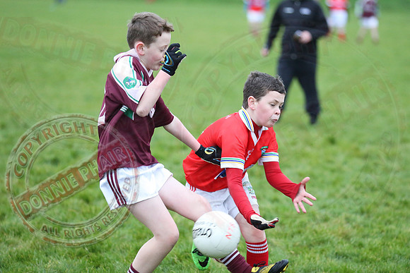 Dundas Shield GAA Tournament for U12 in Lisnaskea.