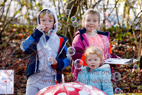 Alice in Wonderland Charity trail by Jones Memorial Primary School-5