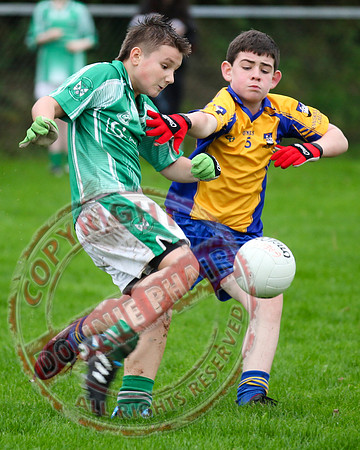 Roslea V Enniskillen Gaels in U12 GAA Football B Final.