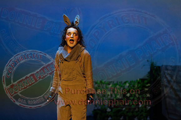 Shrek by FMT - Donnie Phair-200