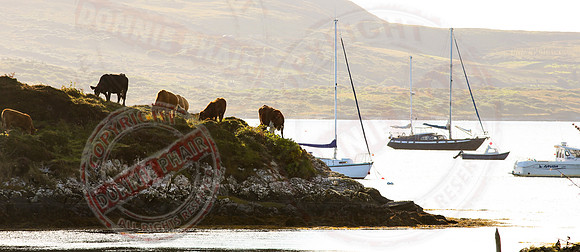 Views in County Galway