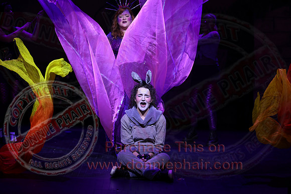 Shrek by FMT - Donnie Phair-259