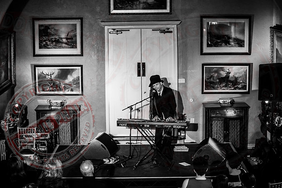 Islander Festival - Music in Belle Isle Estate