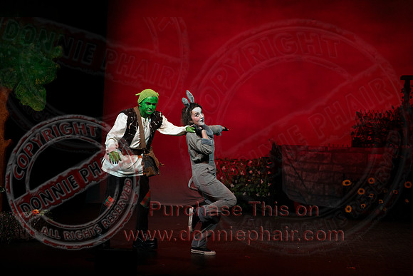 Shrek by FMT - Donnie Phair-204