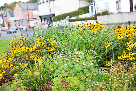 Green beside Police Station in Lisnaskea.