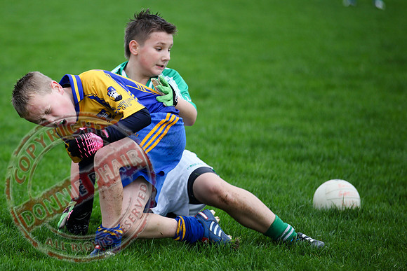 Roslea V Enniskillen Gaels in U12 GAA Football B Final.