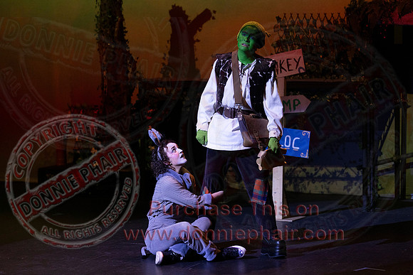 Shrek by FMT - Donnie Phair-119