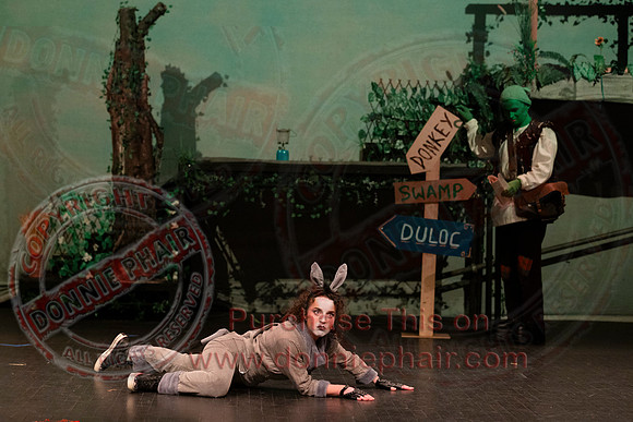 Shrek by FMT - Donnie Phair-79