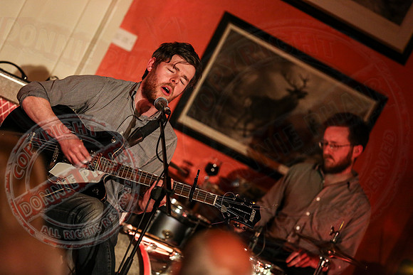 Islander Festival - Music in Belle Isle Estate