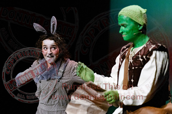 Shrek by FMT - Donnie Phair-92