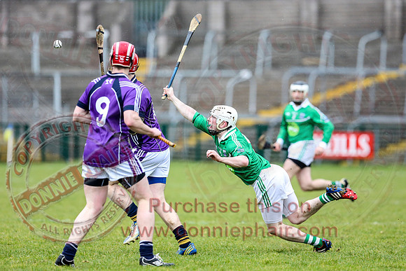 Fermanagh (1-16) V Fingal (3-13) in National Hurling League Division 3A